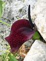 turkije2005 147